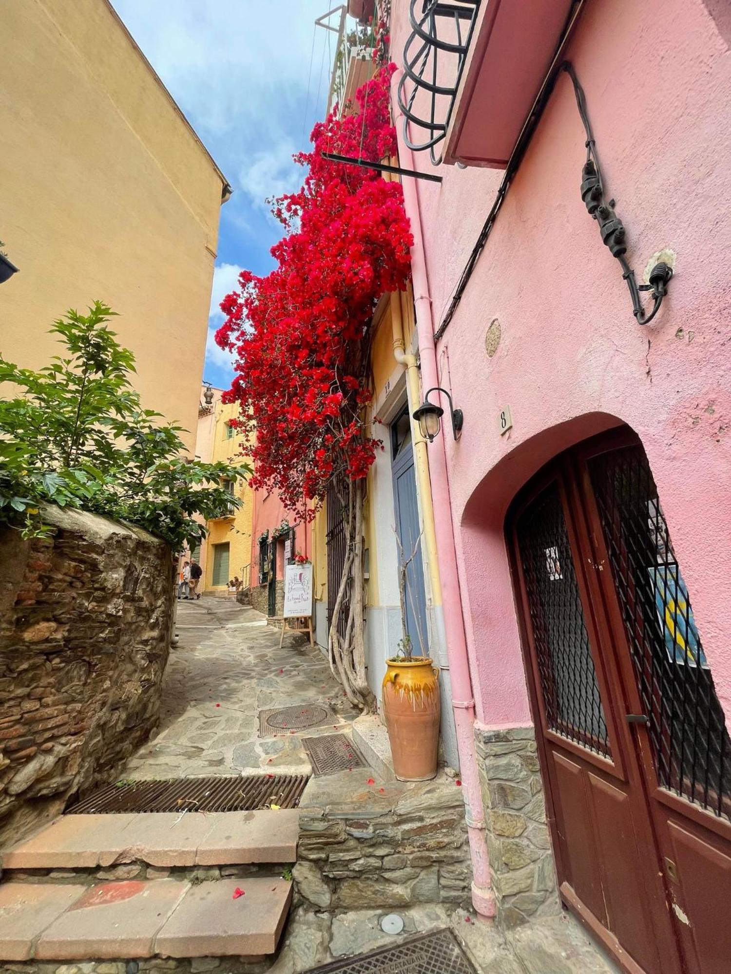 4Demo2 Appartement Vue Mer Collioure Dış mekan fotoğraf